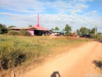 บ้านเดี่ยวหลุดจำนอง ธ.ธนาคารกสิกรไทย ฉะเชิงเทรา ราชสาส์น ดงน้อย