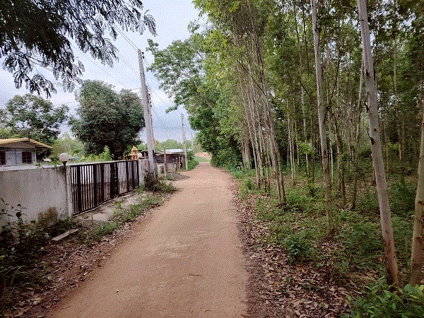 บ้านหลุดจำนอง ธ.ธนาคารกรุงเทพ ฉะเชิงเทรา สนามชัยเขต คู้ยายหมี